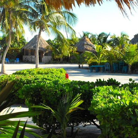 Costa De Cocos Hotel Xcalak Buitenkant foto