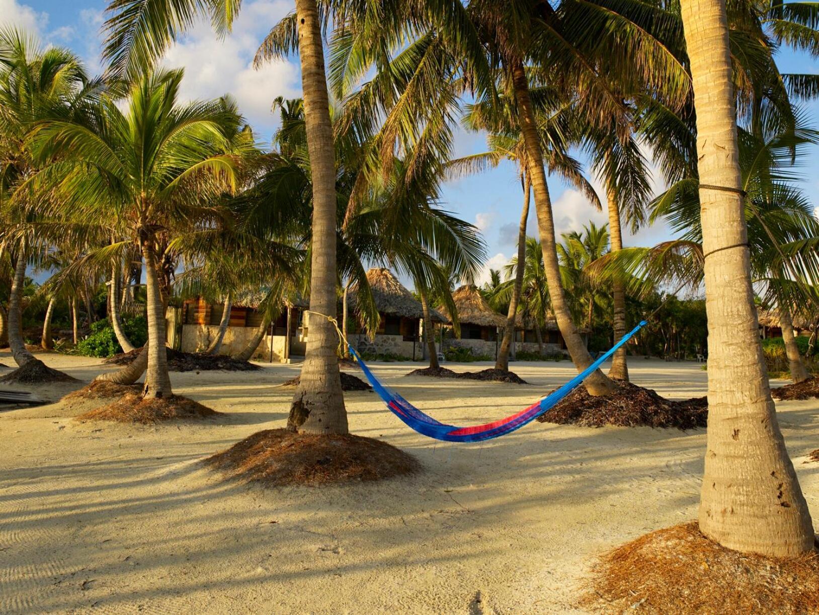Costa De Cocos Hotel Xcalak Buitenkant foto